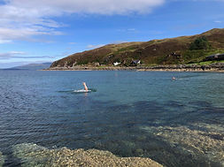 IMG_7948.jpeg