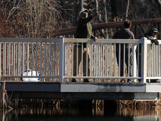 In the Hartford Courant: Turning North End Park Into A Growing Resource