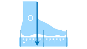 真ん中よりかかと寄り