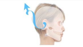 エロンゲーション