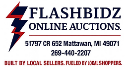 FlashBidz v2.png