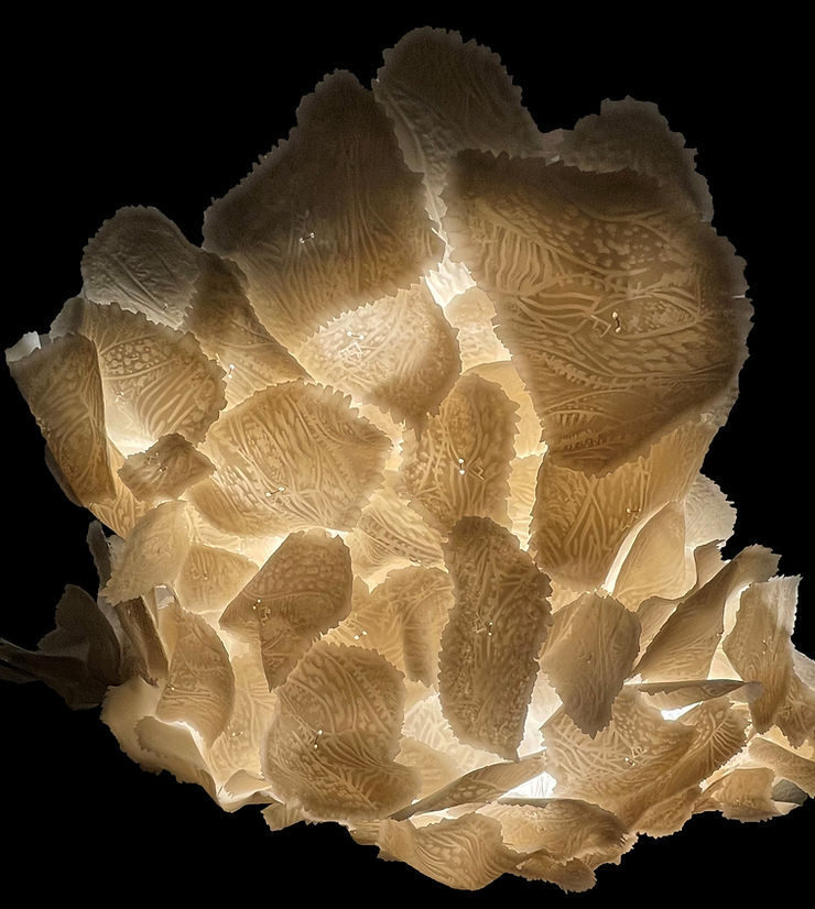 Sculptural ceramic installation illuminated evenly using Applelec’s low-profile Auragami