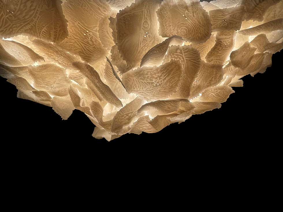 Creative lighting design showcasing Auragami LED sheet behind delicate porcelain surfaces