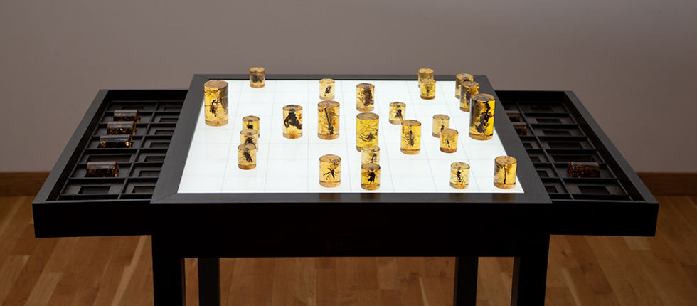 Applelec Lighting Backlit chess board