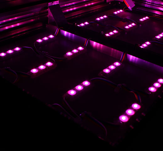 Applelec Light Engines | Made in Britain