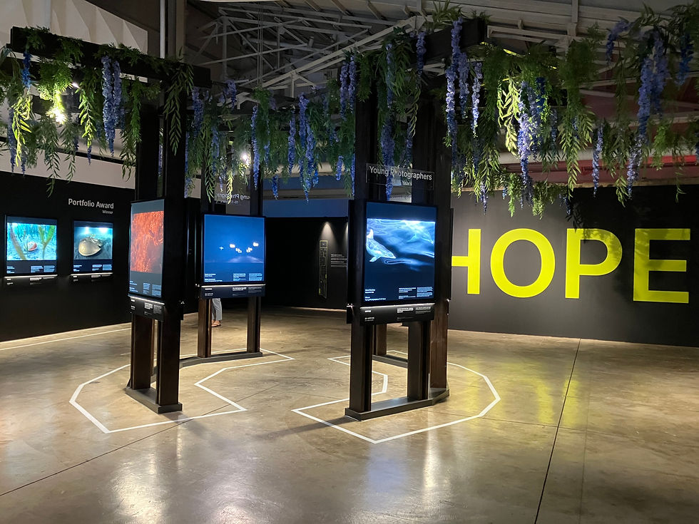 WPY at F 1963, Busan, South Korea © ArtEl Co., Ltd