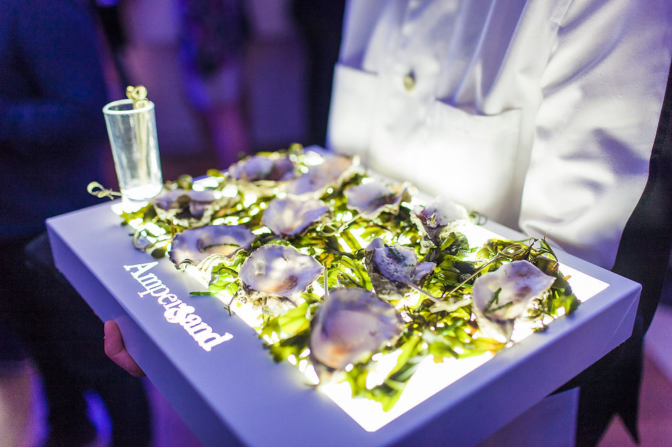 Applelec LED Illuminated serving tray