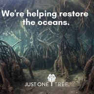 Applelec helps to restore our oceans with JUST ONE Tree