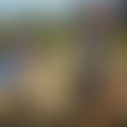 Moms Rule, Dads Drool