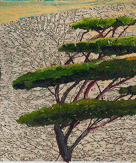 Julian SCHNABEL italy images 1.jpg