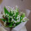 Thumbnail: Lily of the Valley