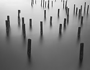 CJ2A2921-Edit-Edit.jpg