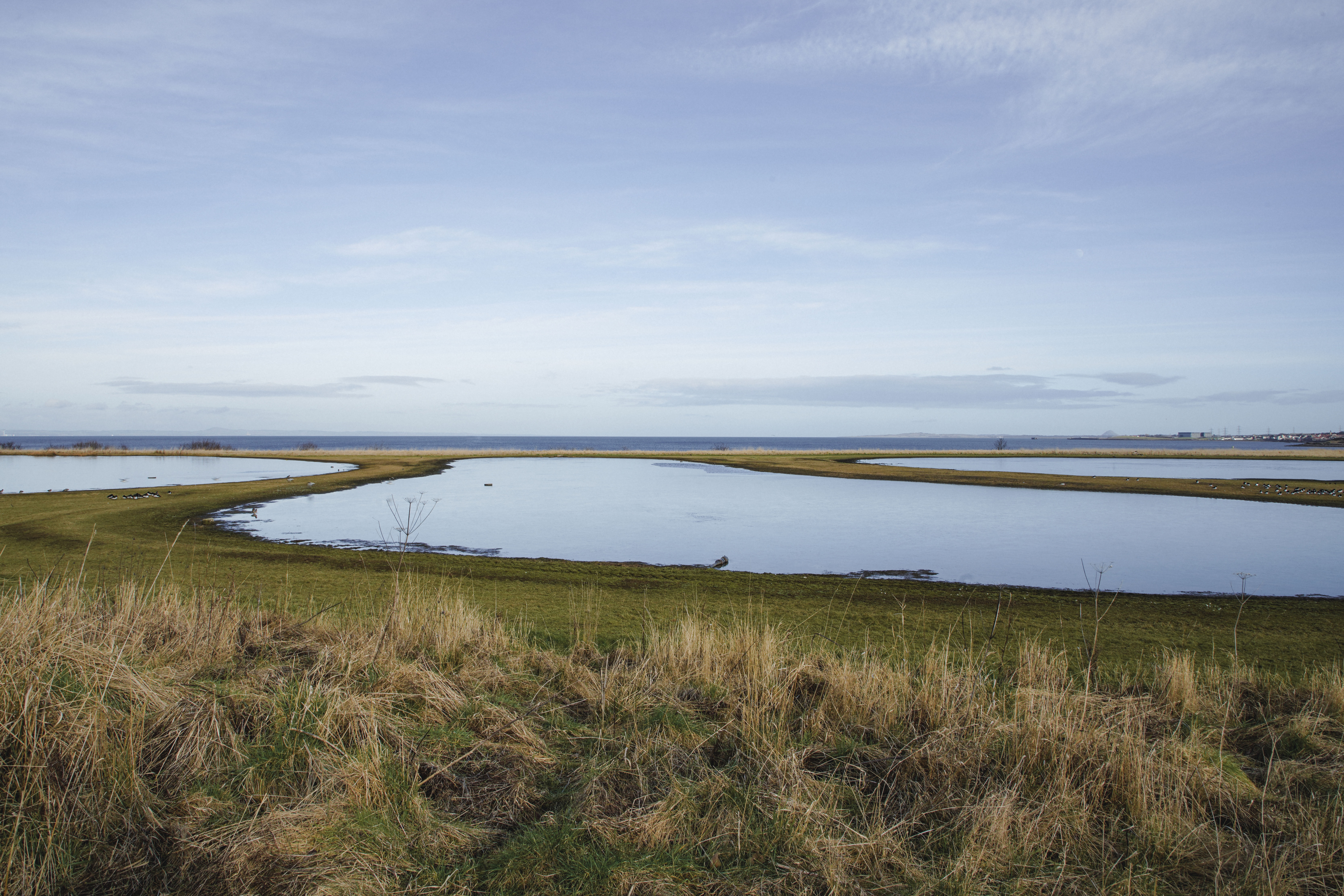 Musselburgh Ash Lagoons 1