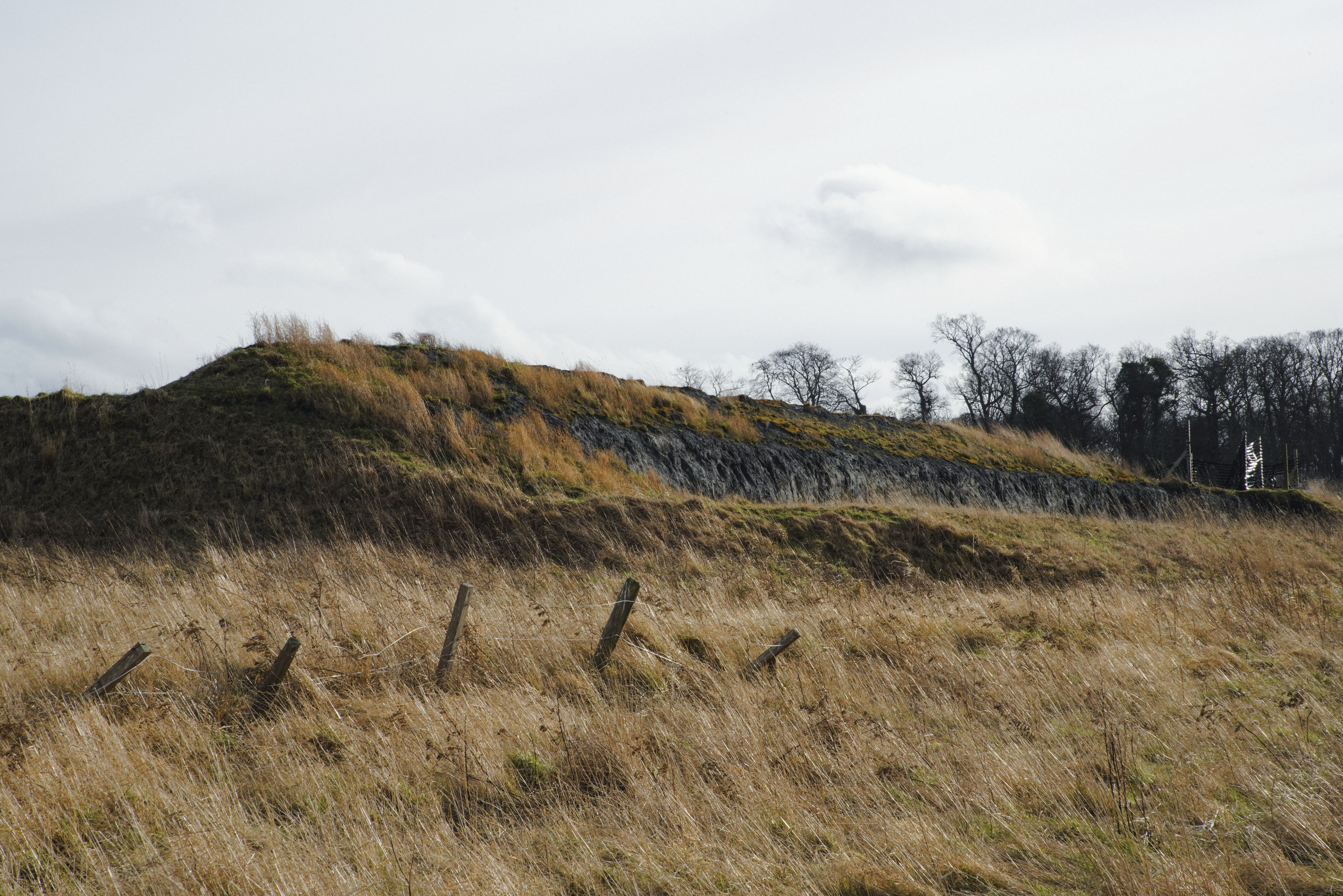 Musselburgh Ash Lagoons 2