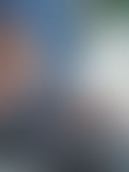 mortgage professional reviewing applicant data for house