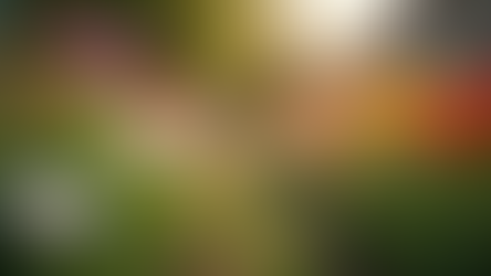 Fundraising Strategies for Nonprofits: Proven Techniques