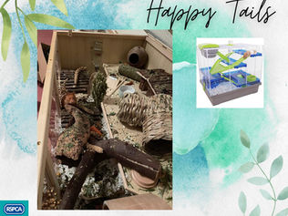 Happy Tails - Hamster Heaven