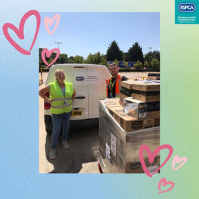 Thank you Amazon Fresh ALT1!