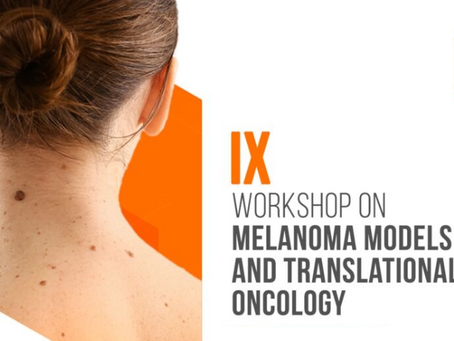 Workshop em Melanoma discute avanços recentes em pesquisa básica e translacional