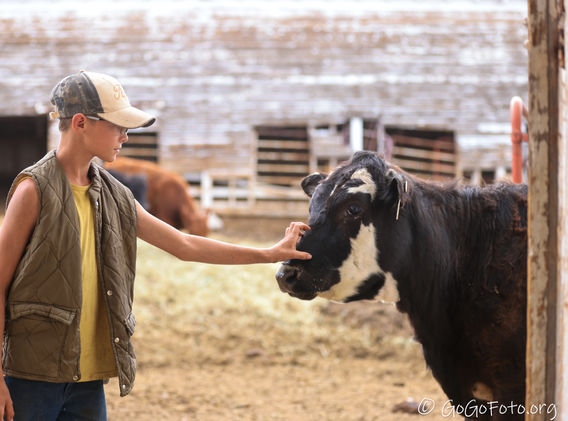 National Go Skate Day hosted by Ornery Skate Shop in Hayden, CO-130.jpg