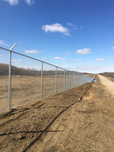 Chain link fence