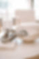 605A5588_edited.jpg