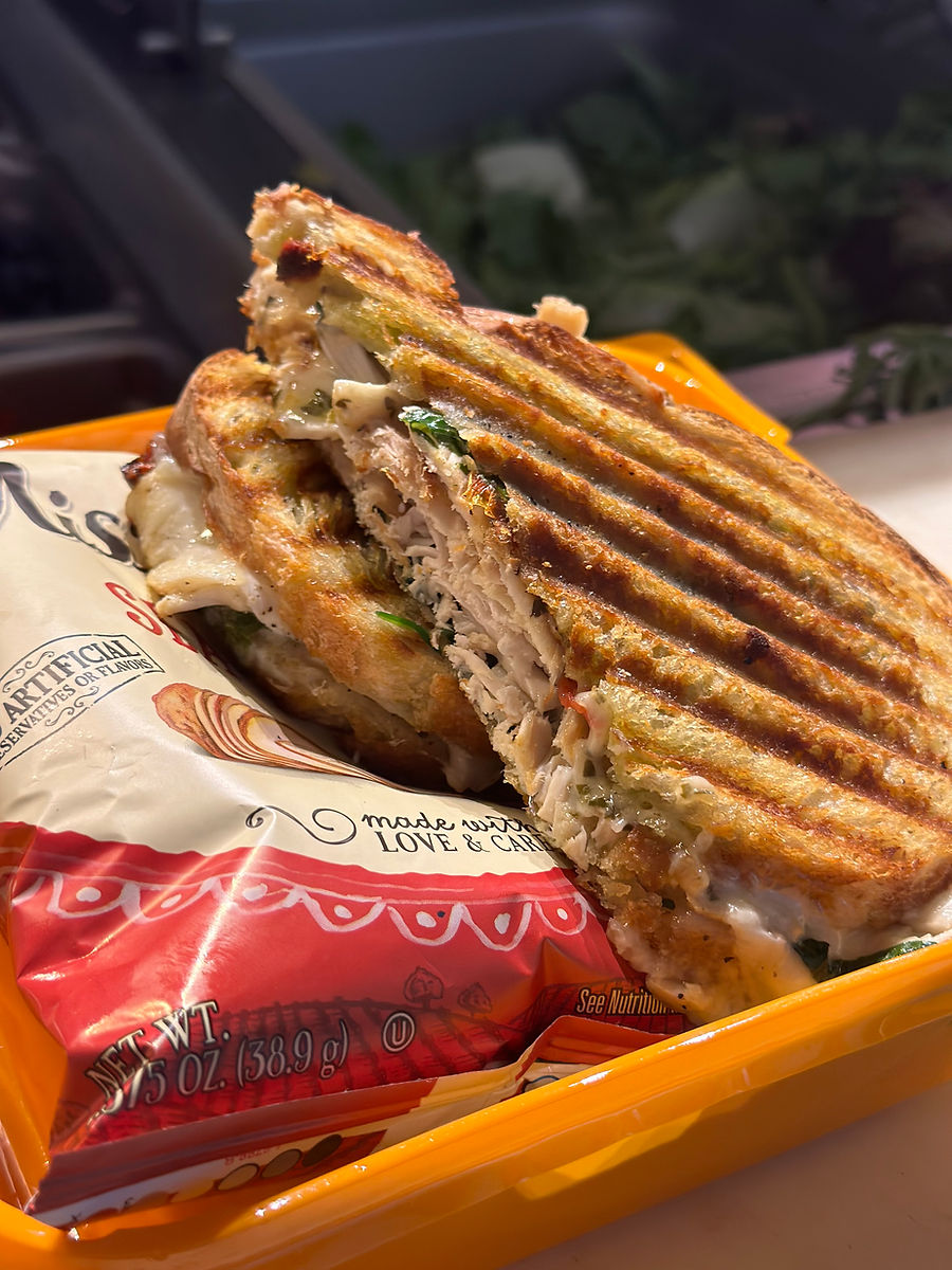 PANINIS & HOT SANDWICHES