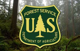 Forest Service seeks comment on work to increase efficiency of National Environmental Policy Act com