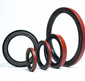 111. Retenedores.jpeg