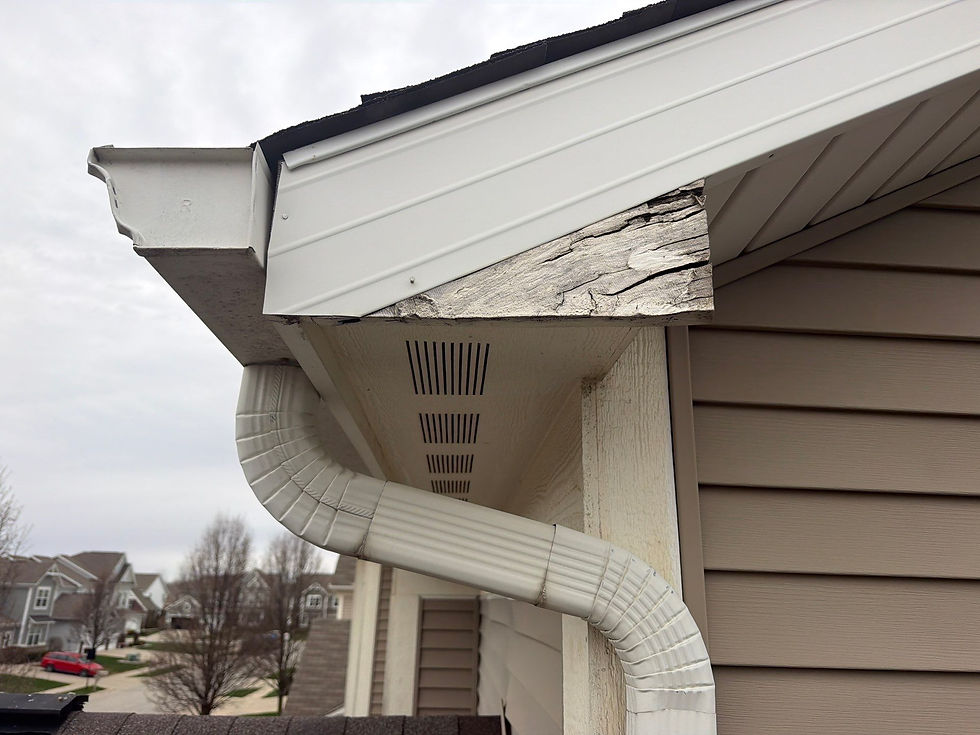 Close-up of a wooden fascia board with peeling white paint and dark, rotting wood near the gutter attachment.