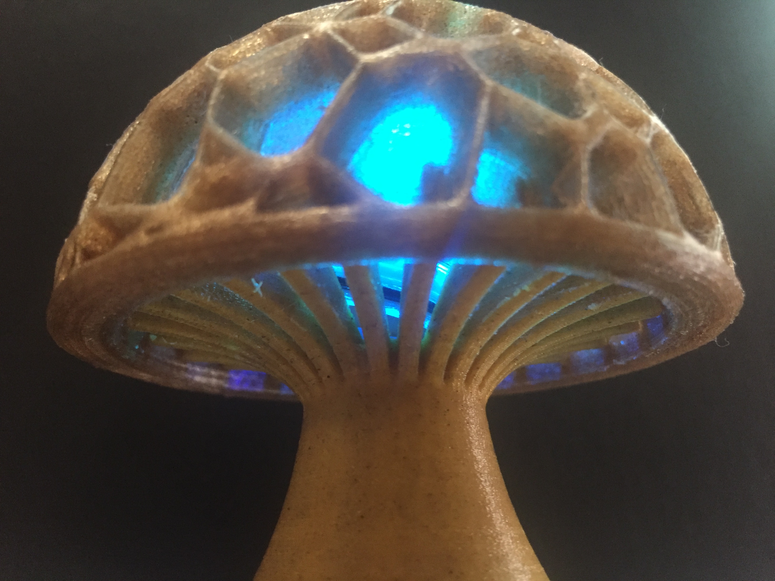 3D Printed Art