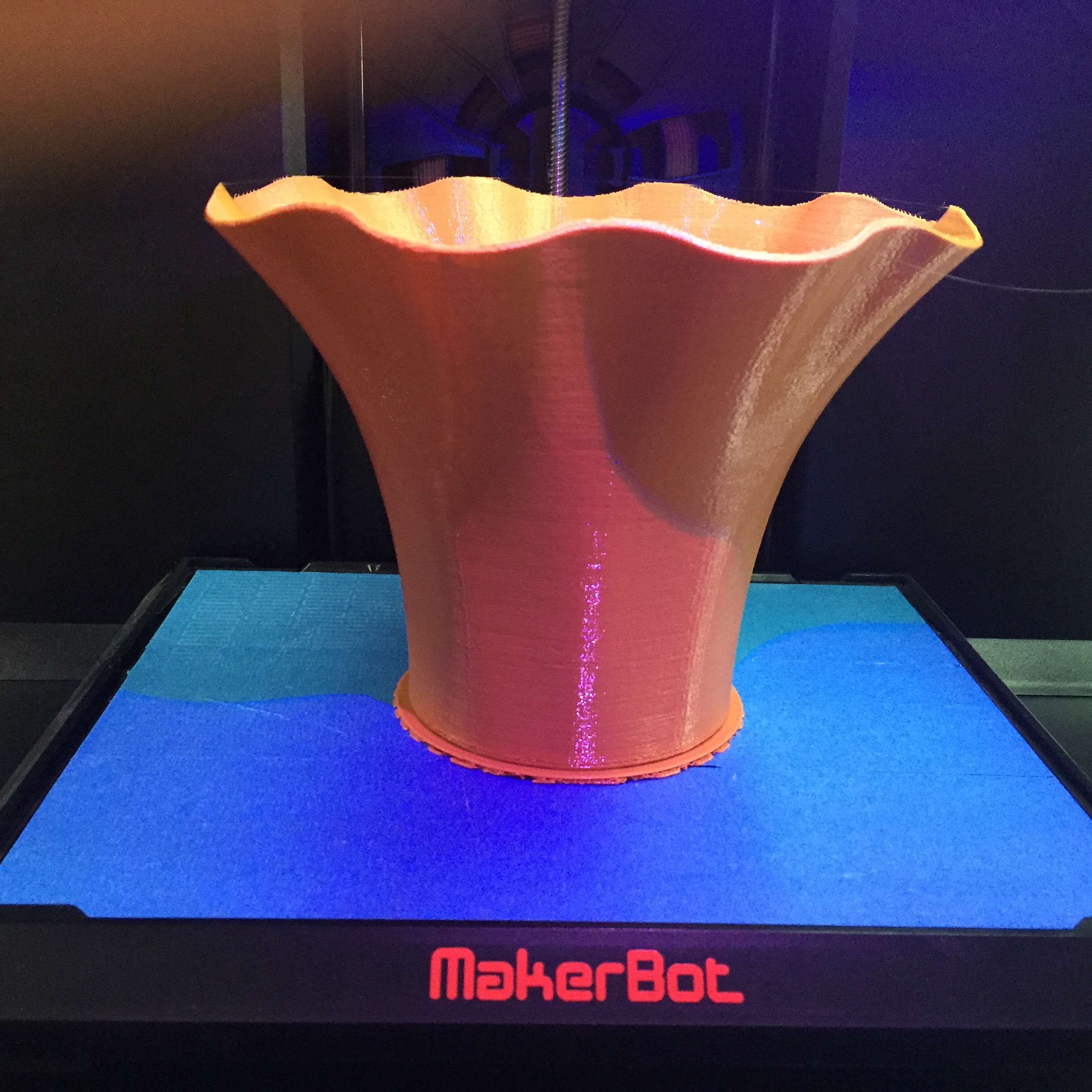 3D Printed Art