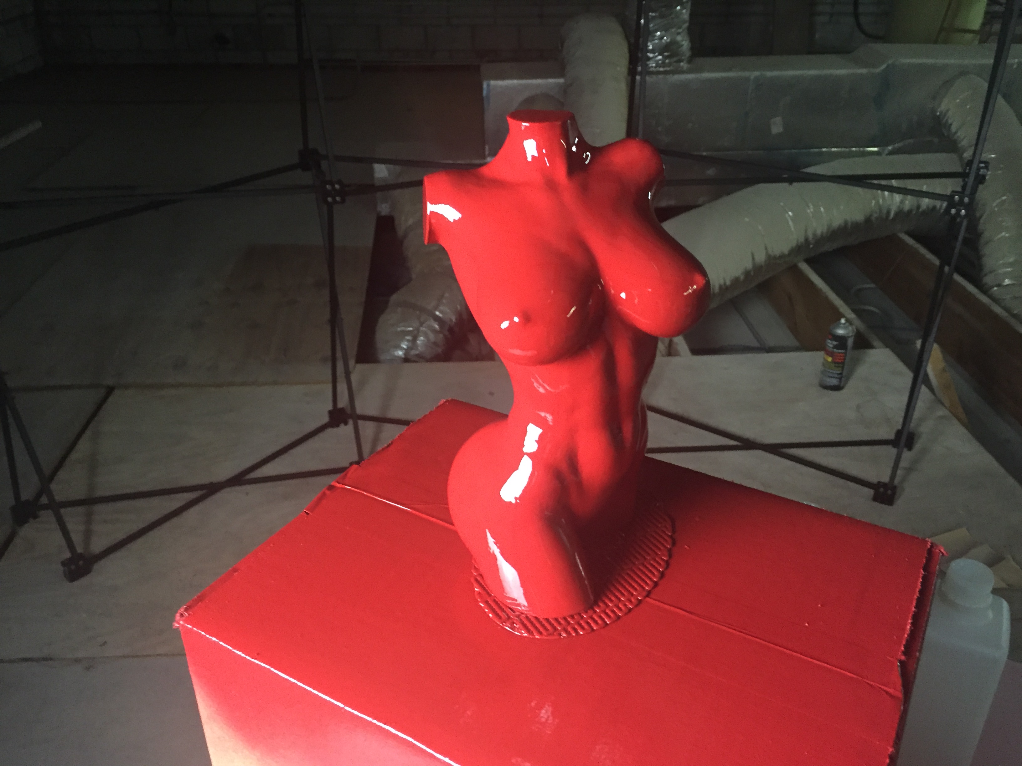3D Printed Art