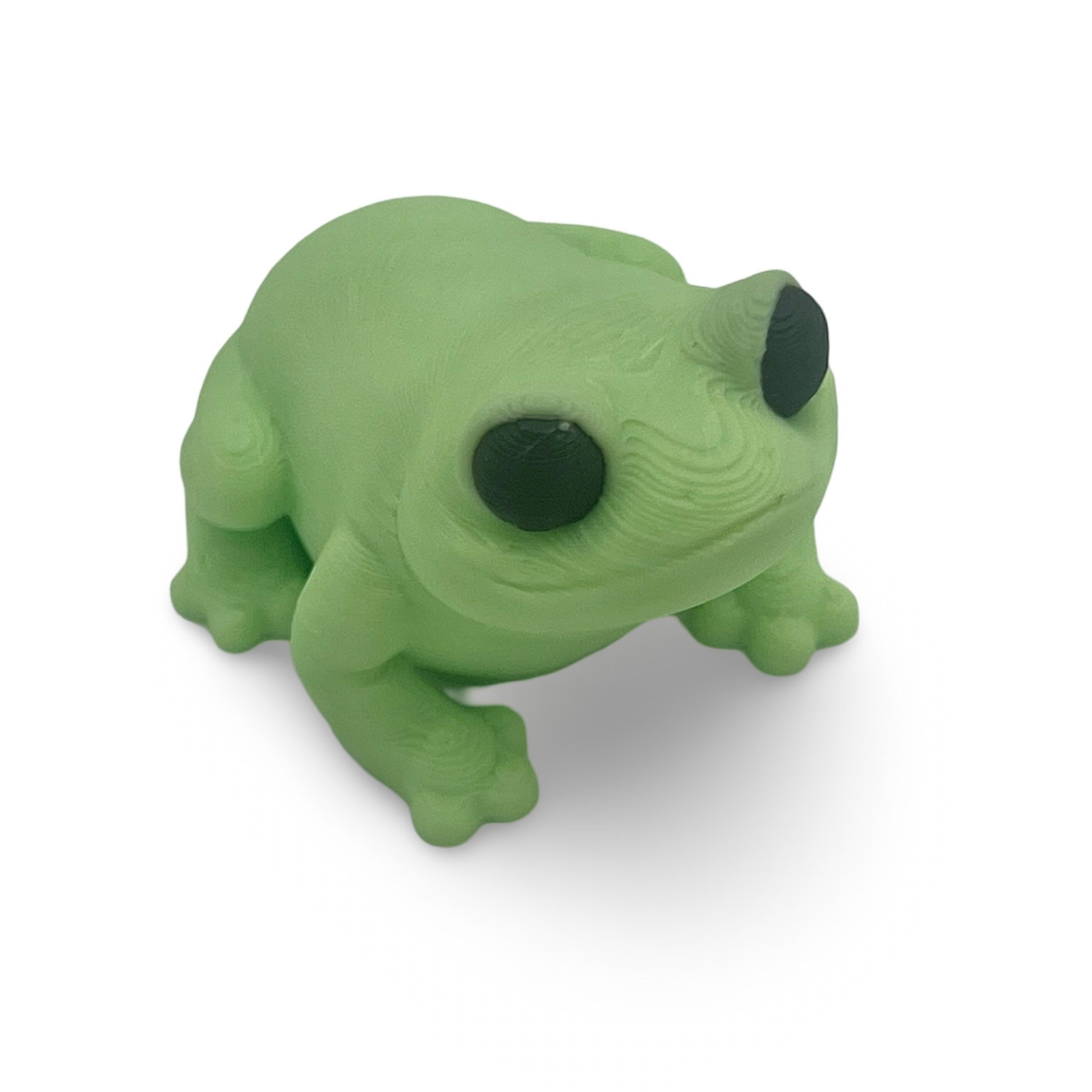 Baby Frog - Shake-imal