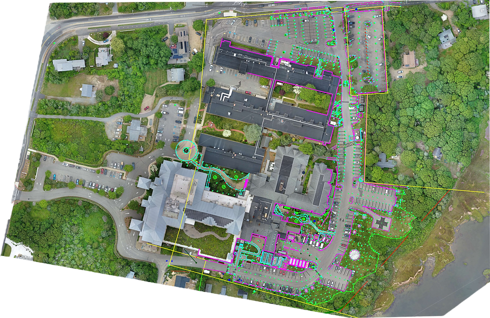 MVH Overview_edited.png