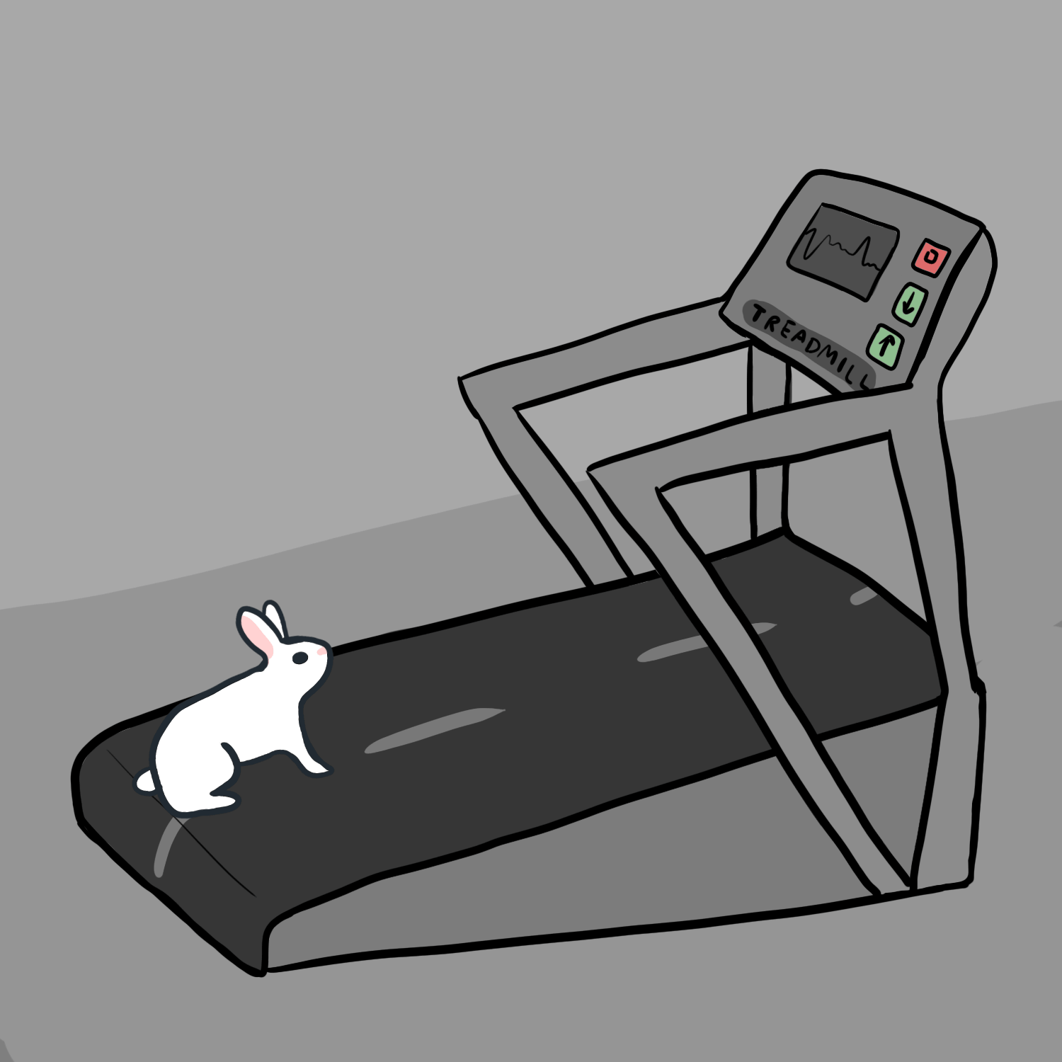 Bunny Animation