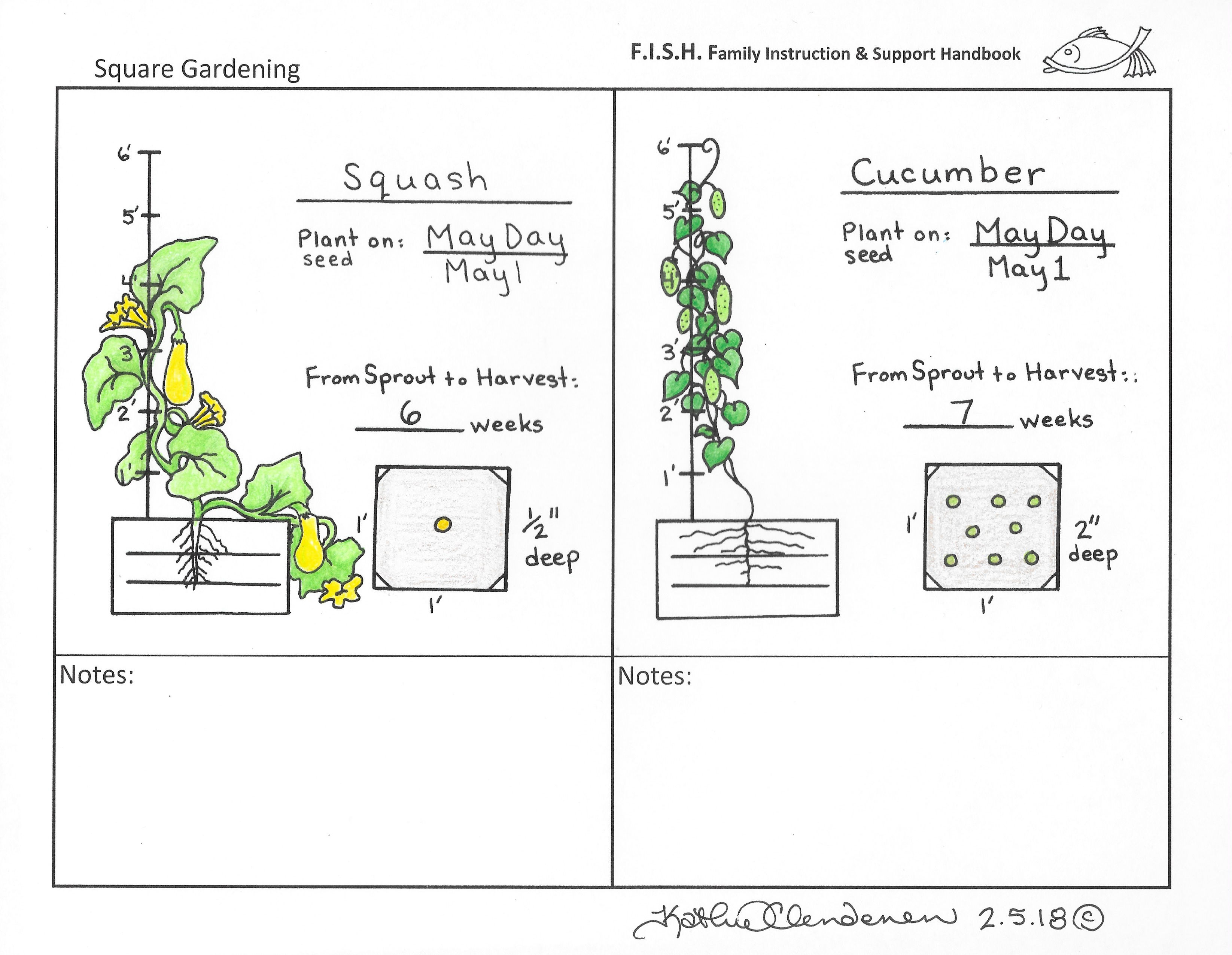 May Day Square Foot Gardening