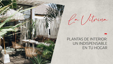 Un verde indispensable para tu casa