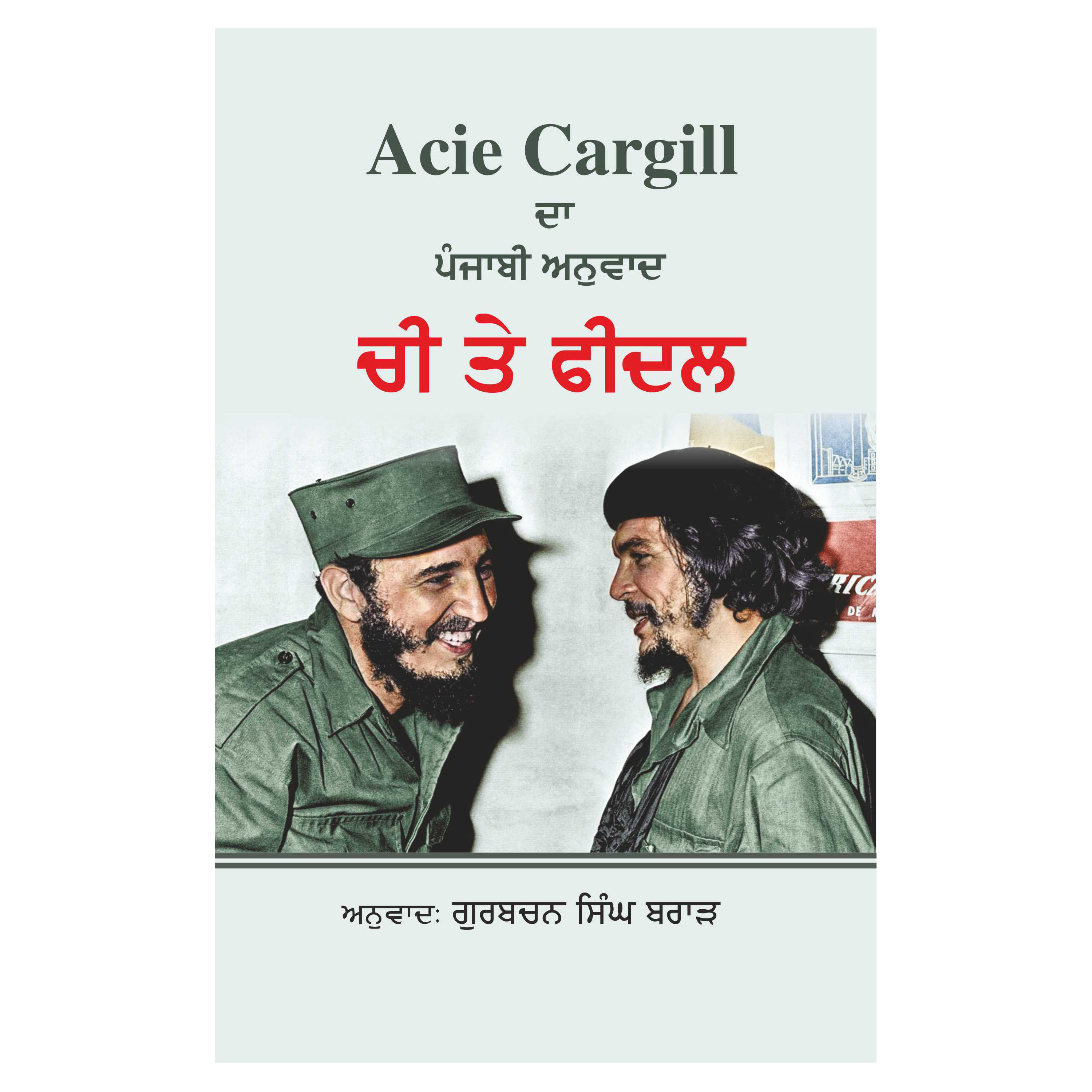 Che and Fidel