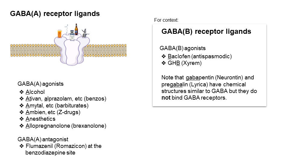 GABA-A and GABA-B receptor ligands by Dr Jason Cafer MD