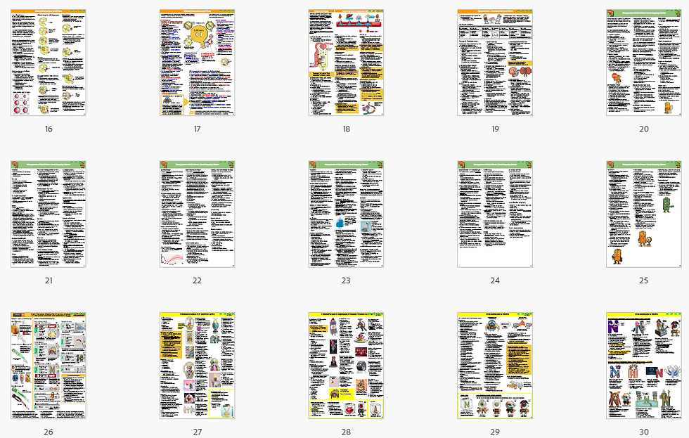 Cafer's Psychopharmacology 2nd Edition Series Prescribing Lithium thumbnail pages 2
