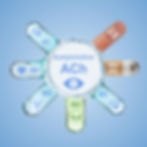 Acetylcholine Stahl style ballicule muscarinic nicotinic M1 M2 M3 M4 M5