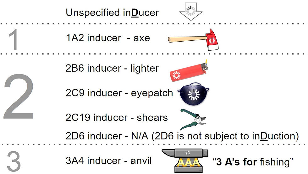 Inducers of CYP450 interactions for prescribers from visual psychopharm mnemonics book