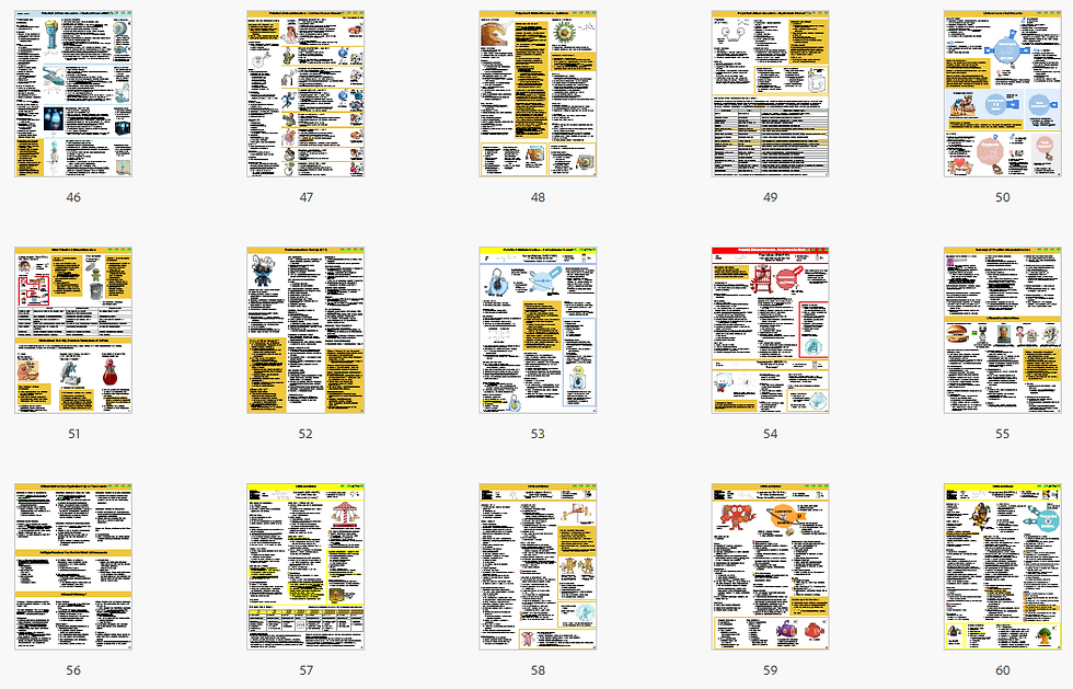 Cafer's Psychopharmacology 2nd Edition Series Prescribing Lithium thumbnail pages 4