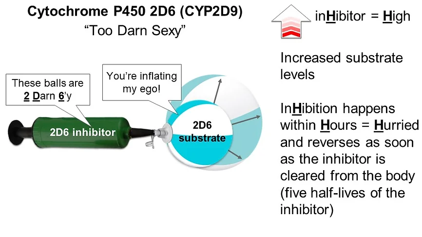 Mnemonic for CYP450 interactions CYP2D6