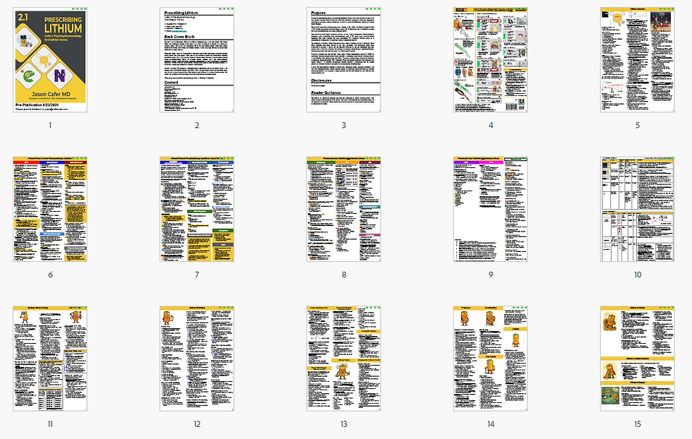 Cafer's Psychopharmacology 2nd Edition Series Prescribing Lithium thumbnail pages 1