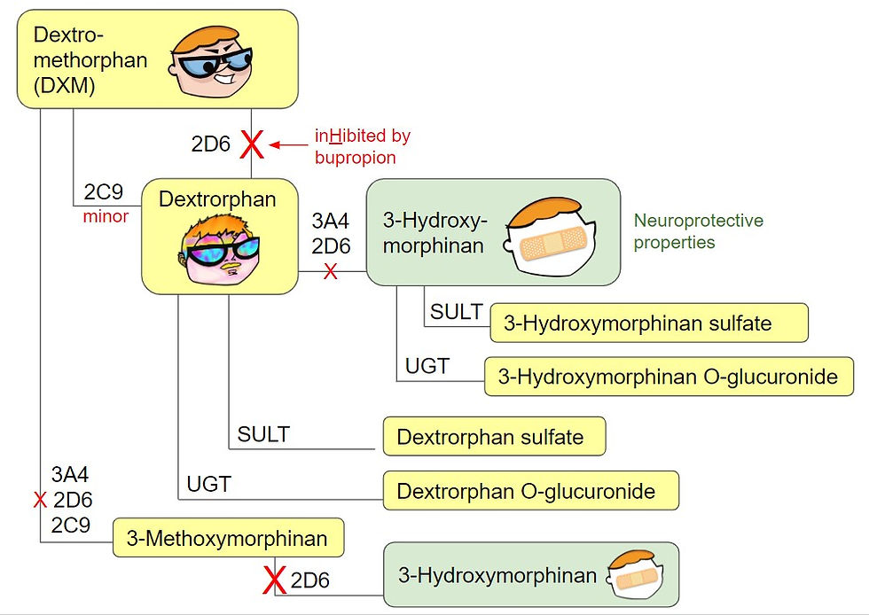 metabolic pathways for dextromethorphan DXM including dextrorphan