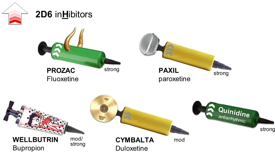 paroxetine, fluoxetine, quinidine, duloxetine, and bupropion are examples of CYP2D6 inhibitors