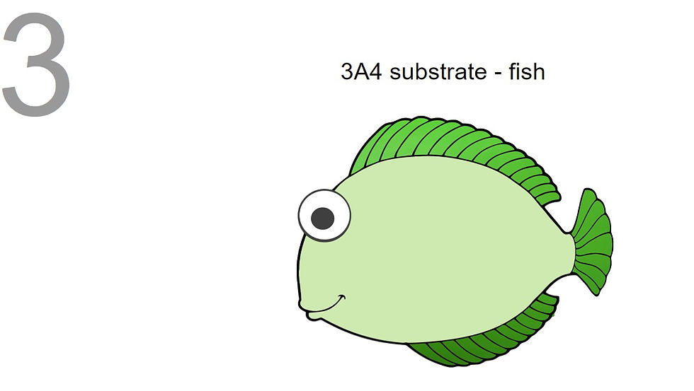 fish representing CYP3A4 substrate in psychopharmacology mnemonics book