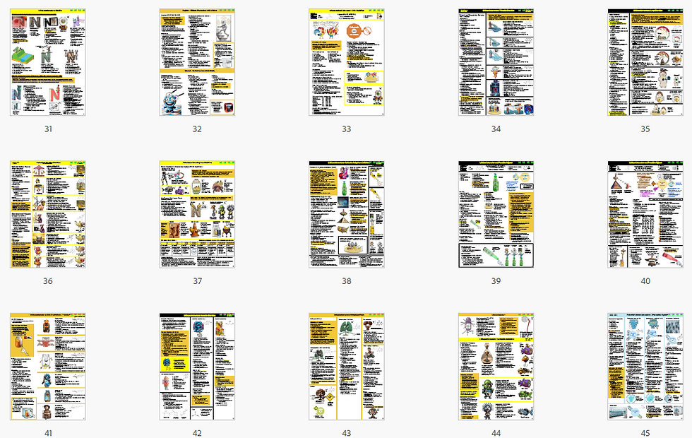 Cafer's Psychopharmacology 2nd Edition Series Prescribing Lithium thumbnail pages 3